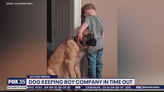 Let's Get Digital: Stories trending on February 26, 2020