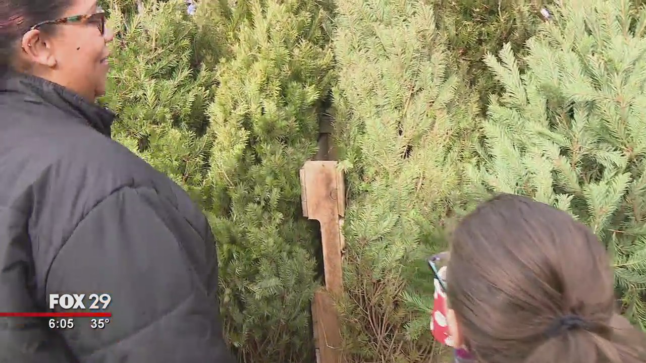 Norristown families given the gift of Christmas trees