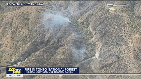 Seven Fire burns over 20 acres in the Tonto National Forest