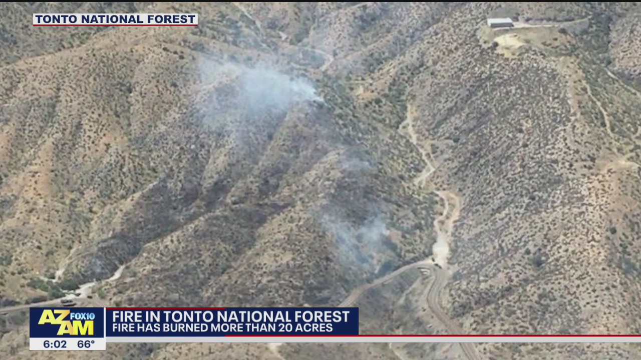 Seven Fire burns over 20 acres in the Tonto National Forest