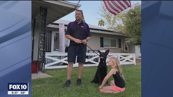 The ride of her life: Escaped dog in Scottsdale spends morning in FedEx truck