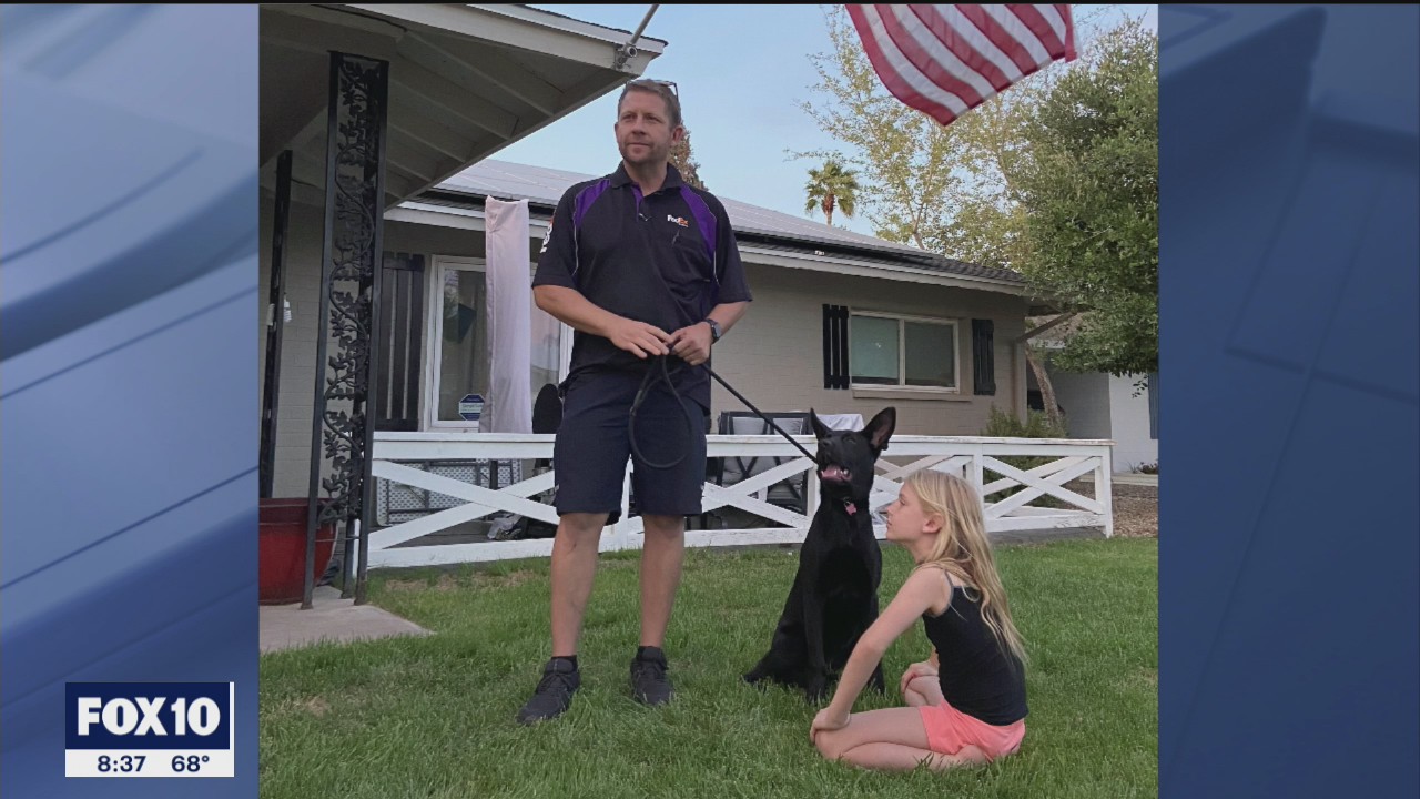 The ride of her life: Escaped dog in Scottsdale spends morning in FedEx truck