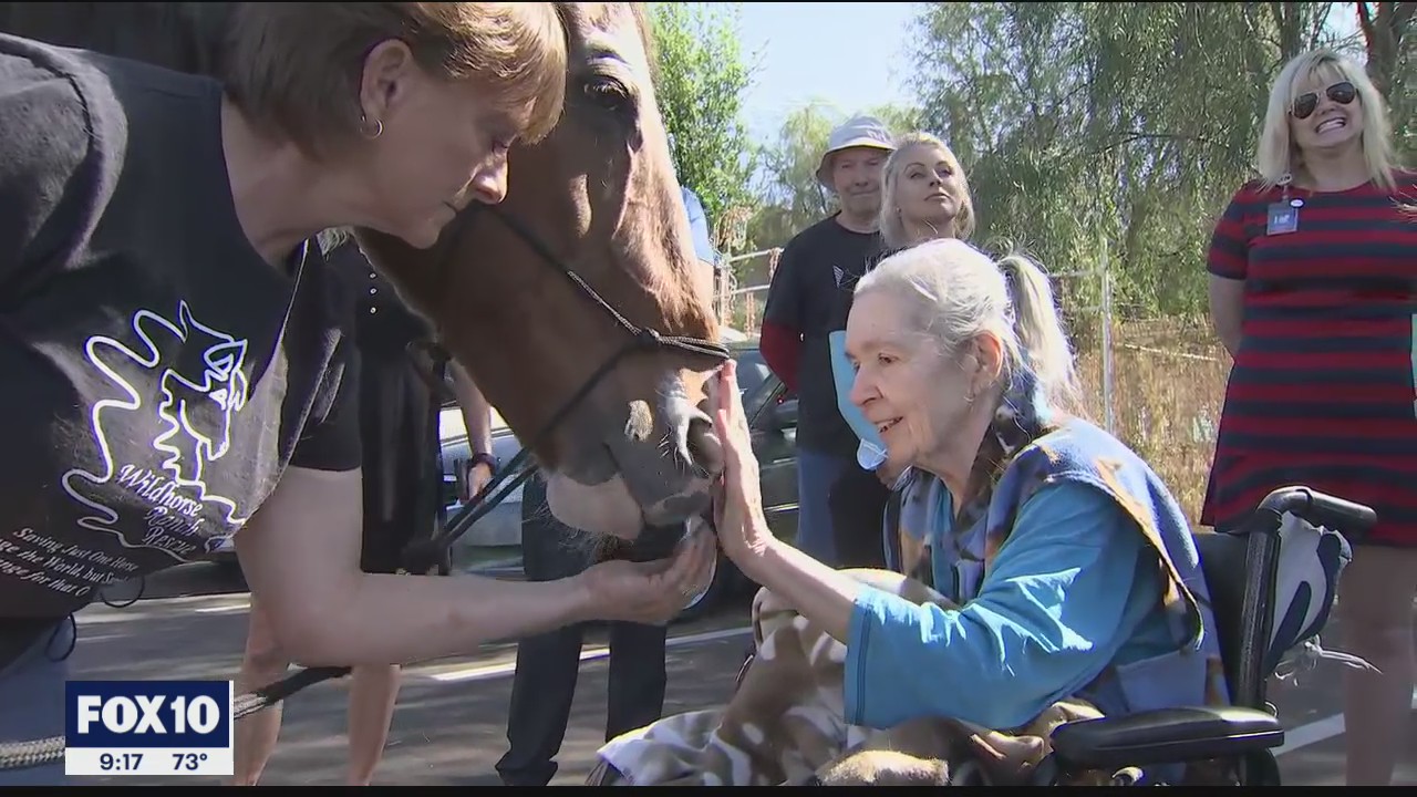Wildhorse Ranch Rescue horse helps hospice patient complete bucket list