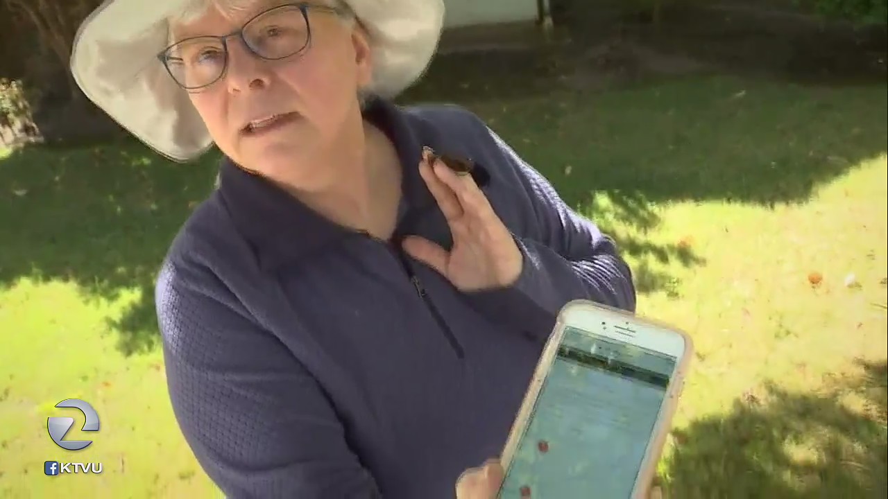 Bay Area residents hit with internet service provider outages during utility power shutoff