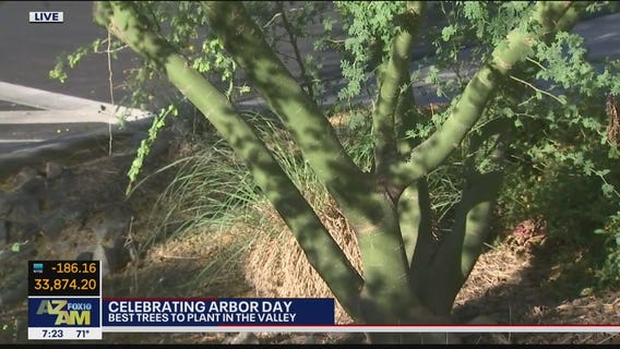 Spending Arbor Day at Mesa Urban Garden
