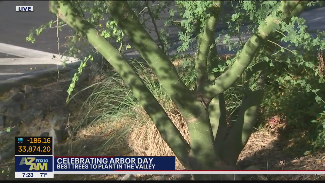 Spending Arbor Day at Mesa Urban Garden