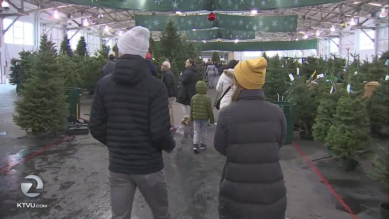 Guardsmen Christmas tree lot opens in San Francisco