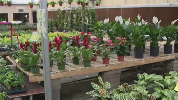 Phoenix nursery offers free plants for teachers, healthcare workers