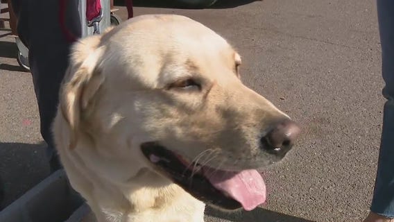 Phoenix arson dog team completes annual certification