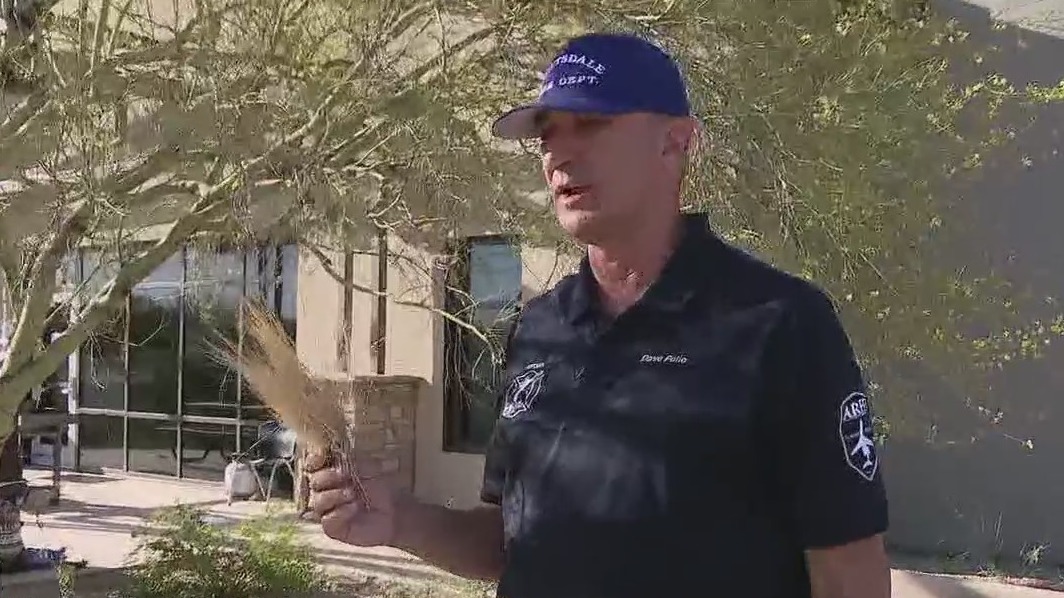 How to protect your home from wildfires by creating defensible space