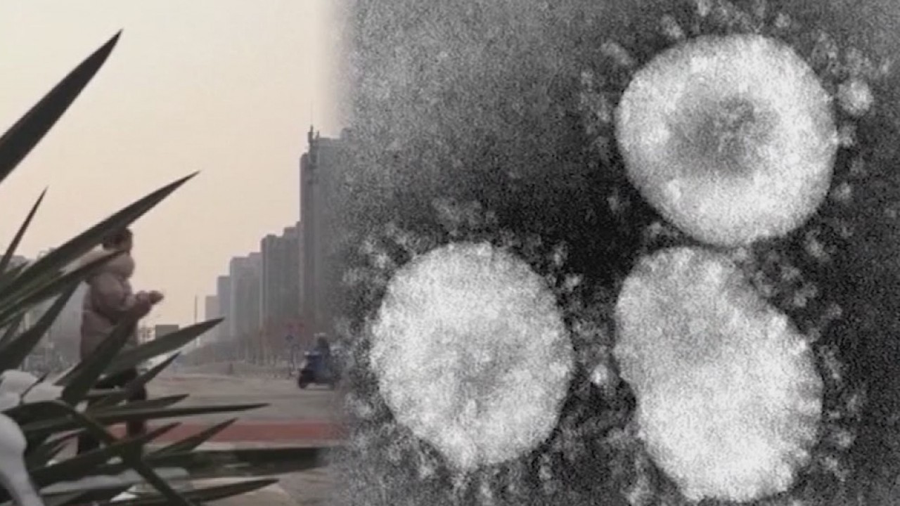 2 cases of presumptive coronavirus in Florida