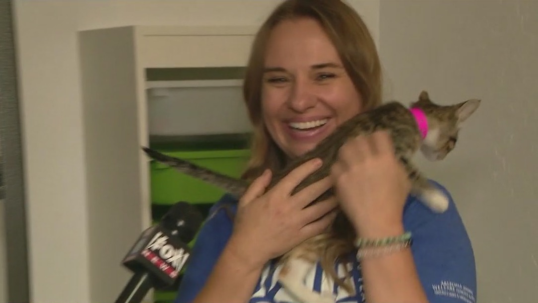 AAWL holds 3 new week-long summer camps for kids ages 6-17