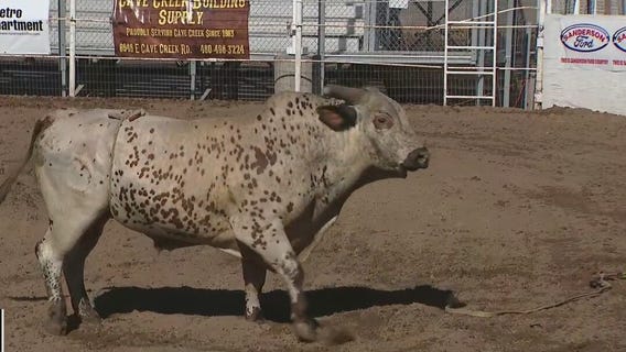 Cave Creek Rodeo Days