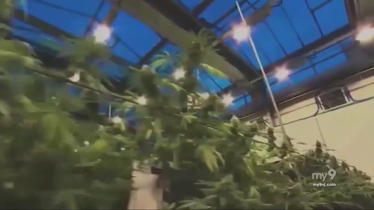 NJ Now: Commerce and cannabis