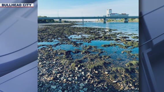 Bullhead City holds annual river clean up event