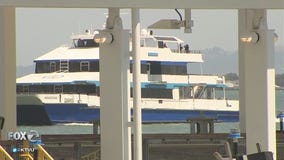Rise in Bay ferry popularity: Creating new commuter corridors