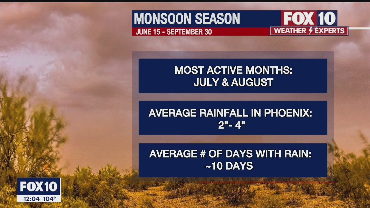 Driving safely in the monsoon | FOX 10 Phoenix