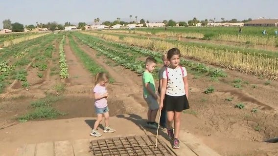 Pick your own produce at Tolmachoff Farms