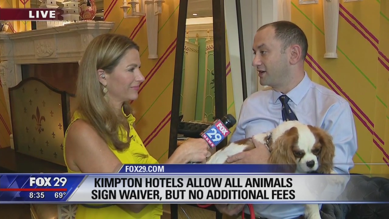 Tips for traveling with your pets