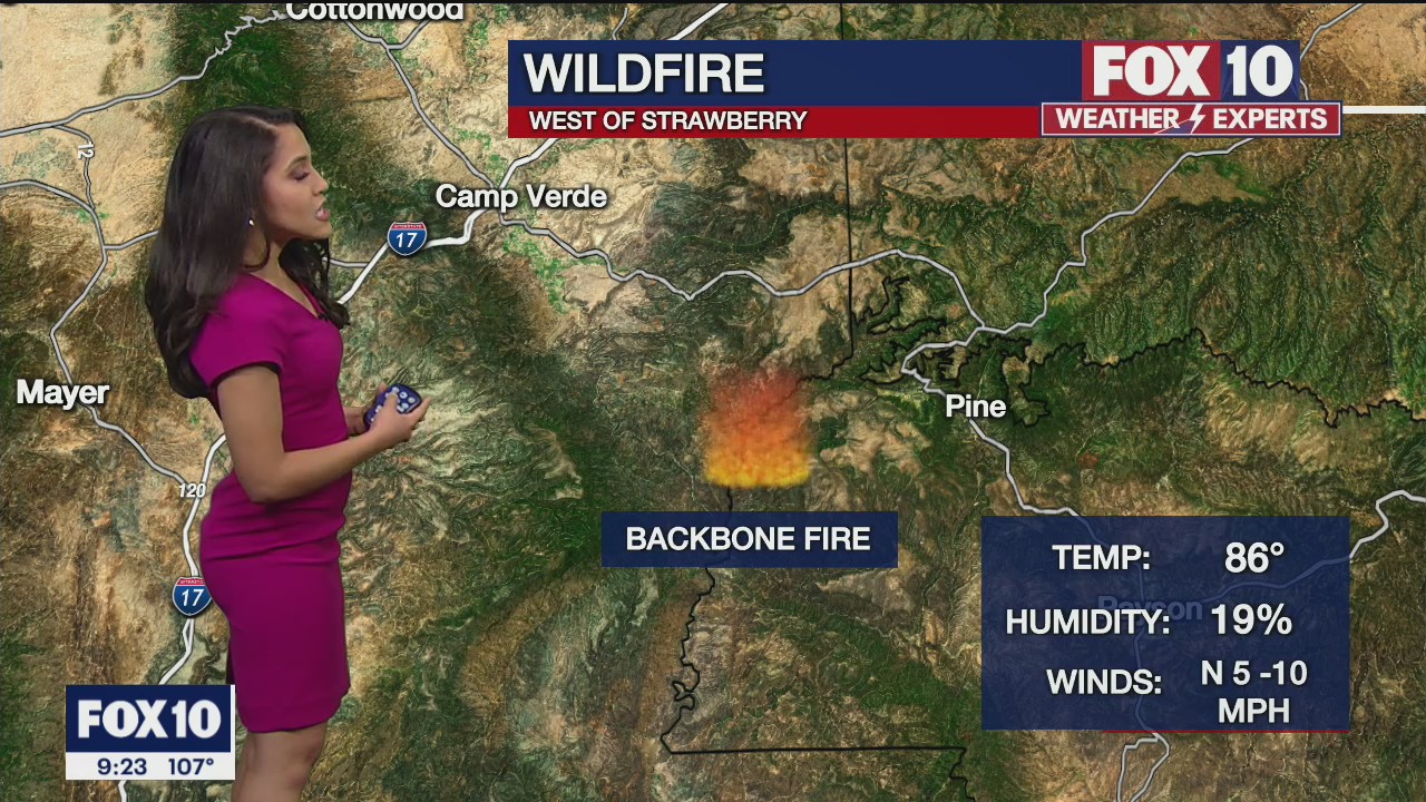 9pm Forecast - 6/19/2021