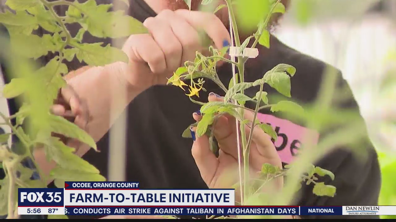 Student learning about farm-to-table initiatives