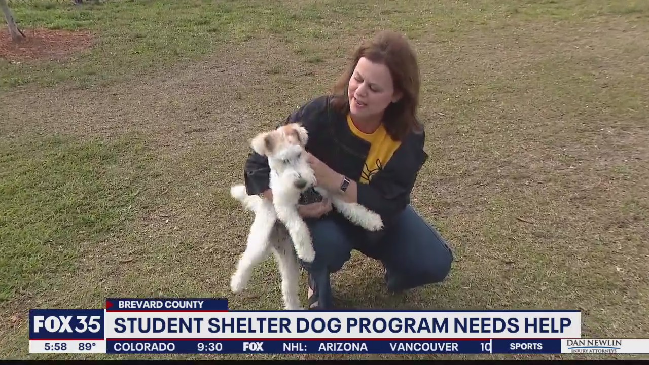 Student shelter dog program needs helps