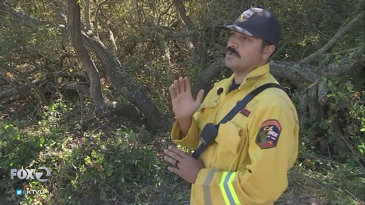 Cal Fire preemptively clears brush in Tilden Park
