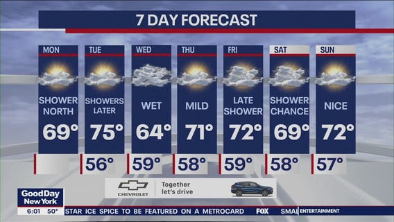 NYC weather forecast