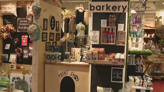 Ivy & Sage Home and Lifestyle Co. in Gilbert