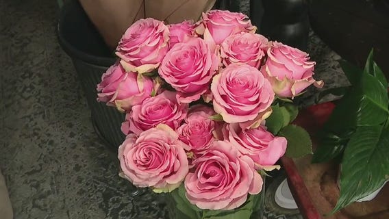 North Phoenix florist offers BYOB flower arranging classes