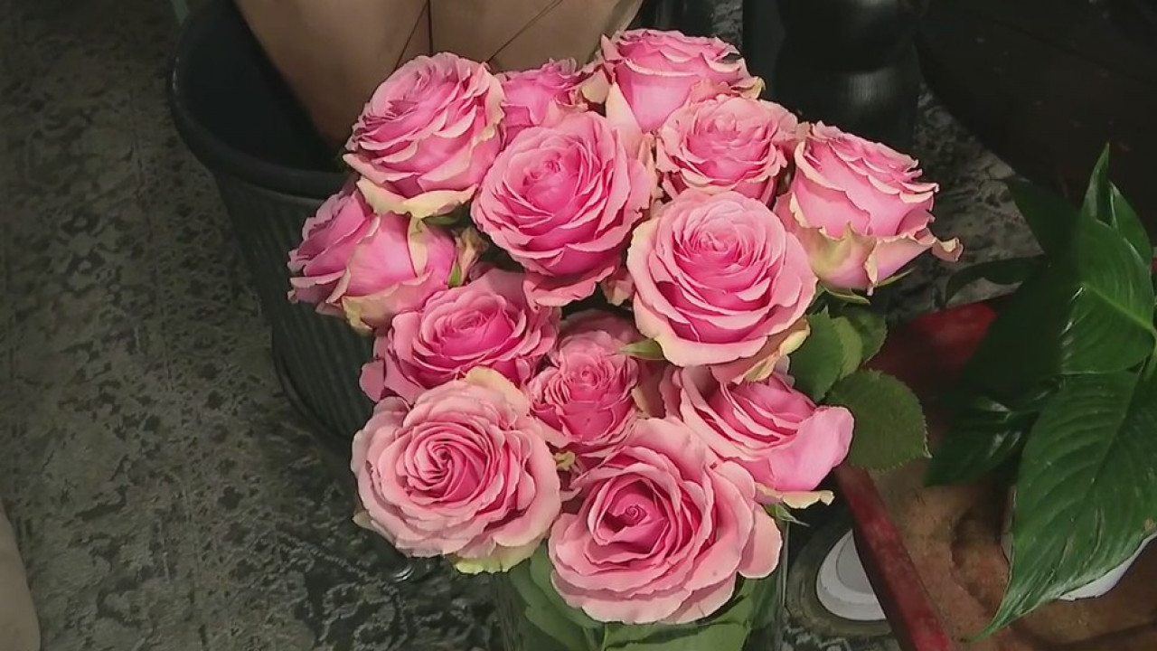 North Phoenix florist offers BYOB flower arranging classes