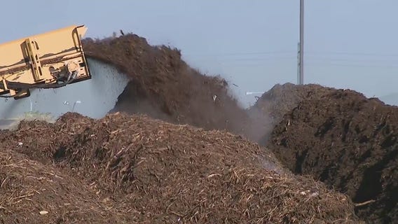 Going green: Phoenix program turns yard waste into compost
