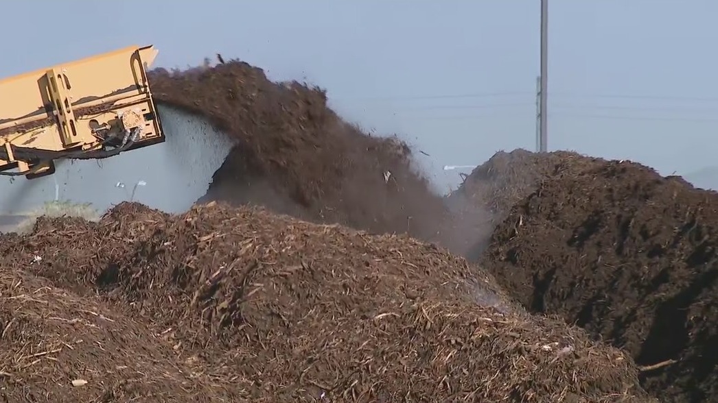 Going green: Phoenix program turns yard waste into compost