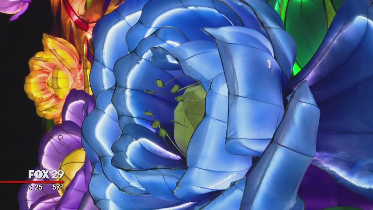 Alex Around Town: Chinese Lantern Festival