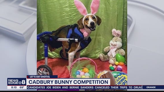 Let's Get Digital: Stories trending on March 9, 2020