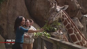 Alex Around Town: Philadelphia Zoo