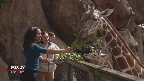 Alex Around Town: Philadelphia Zoo