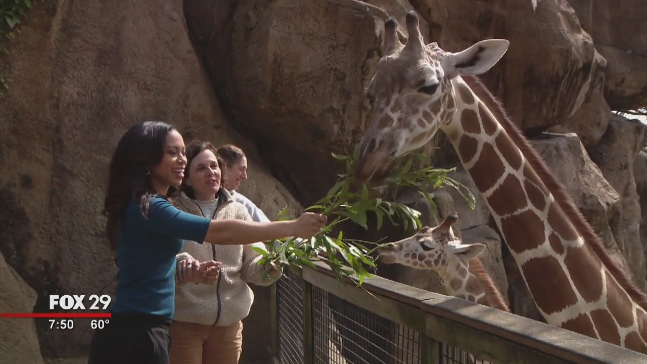 Alex Around Town: Philadelphia Zoo