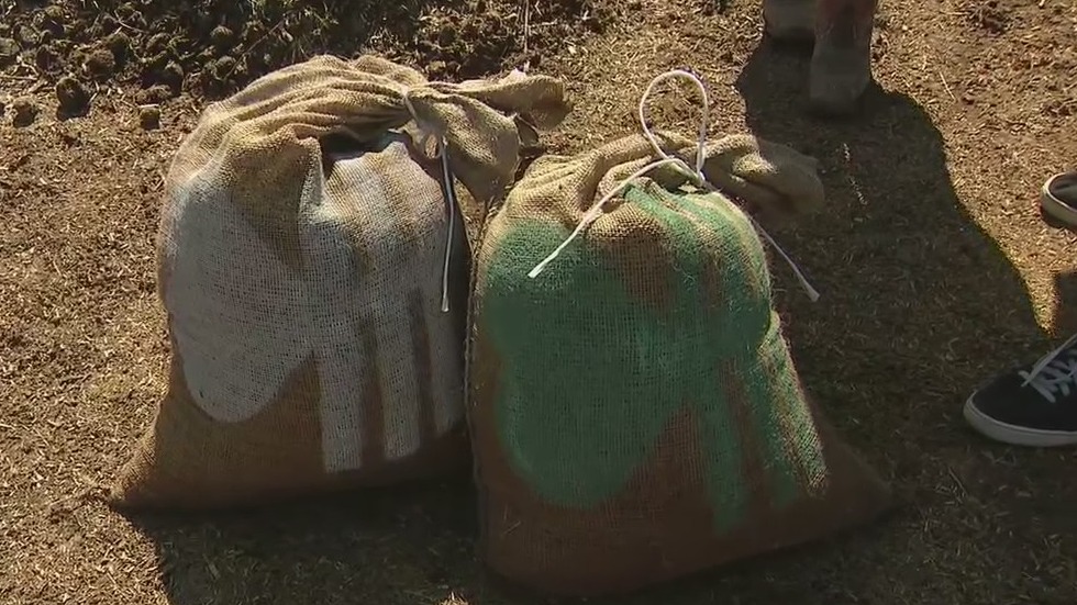 Scottsdale horse therapy farm offering $5 compost bags