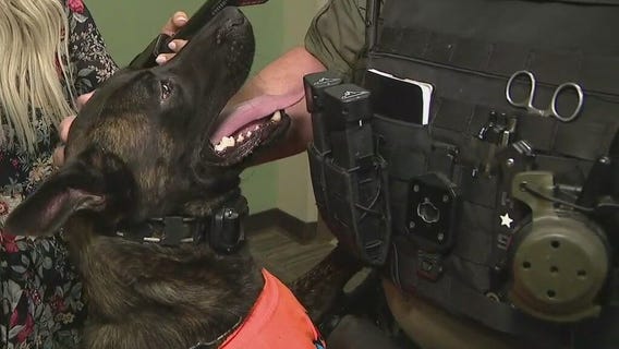 High schoolers raise money to buy kevlar vest for Buckeye Police K-9