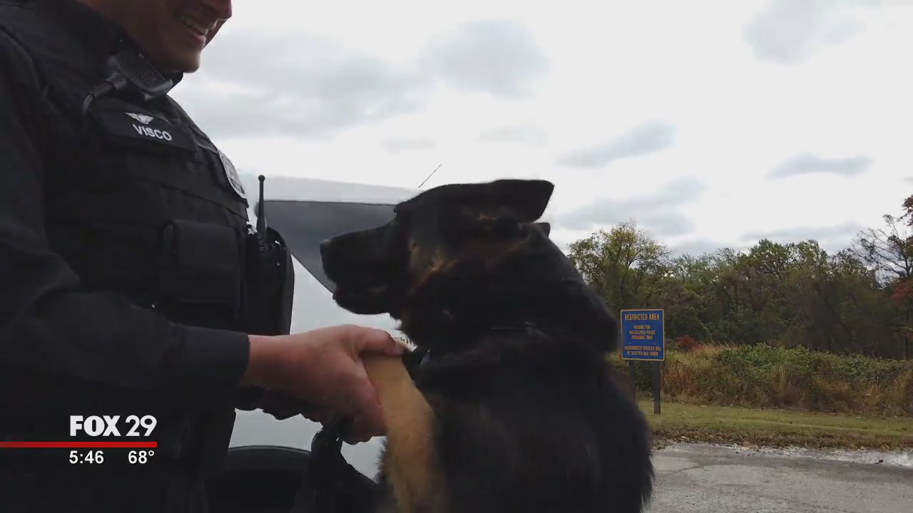 Inaugural Run For Blue will support Philadelphia police horses, K-9s