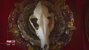 New Jersey artist takes creativity to next level