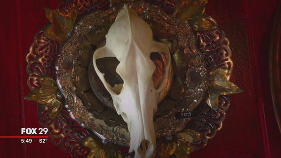 New Jersey artist takes creativity to next level