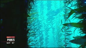 National Geographic Encounter: Ocean Odyssey