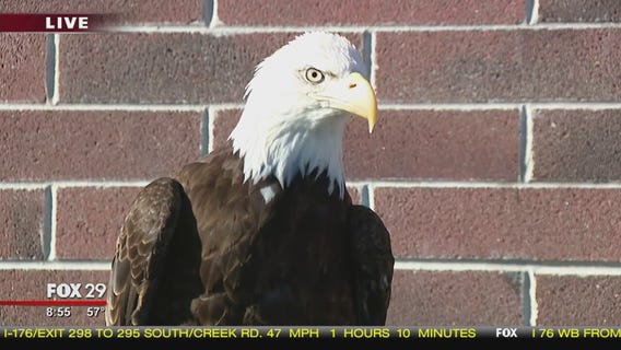 Town Takeover: Elmwood Park Zoo