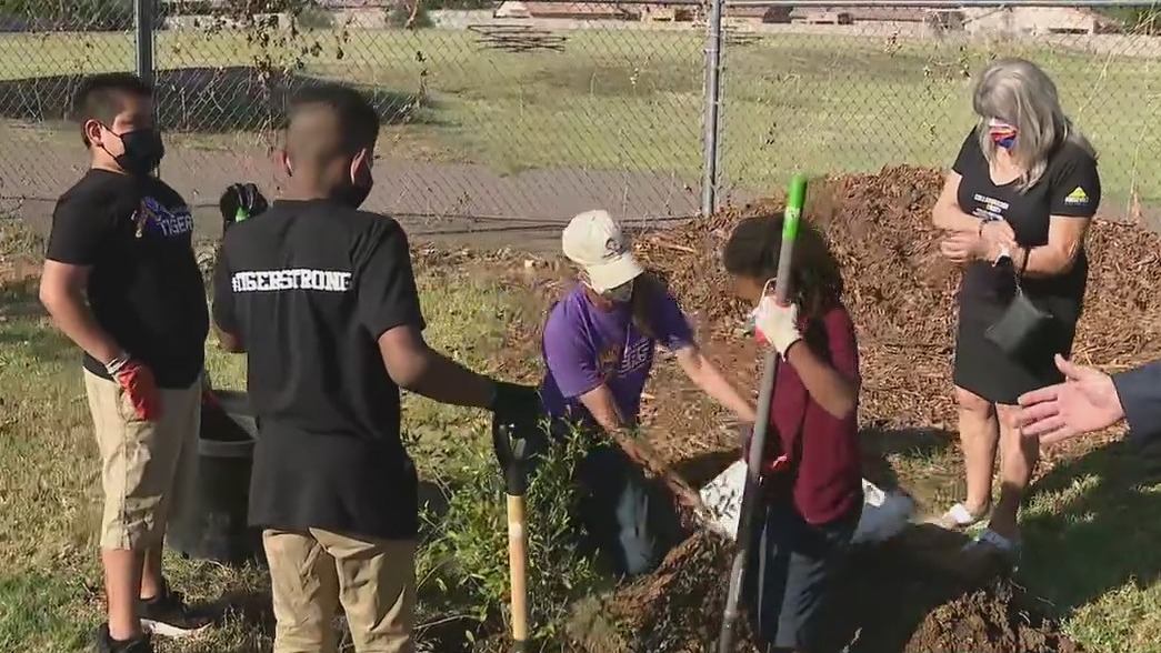 Fry's donates $5K to support South Phoenix school garden