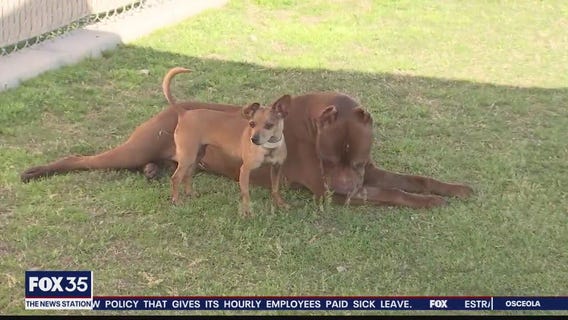 Let's Get Digital: March 10