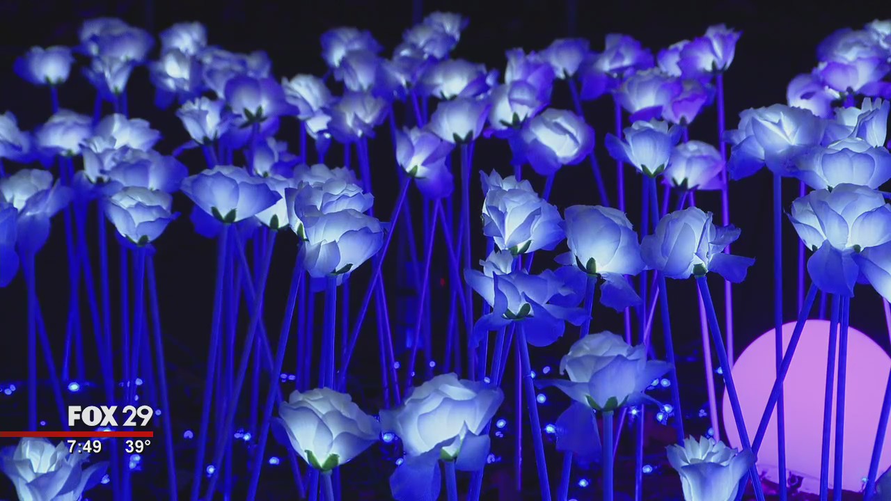 LumiNature brings holiday light show to the Philadelphia Zoo