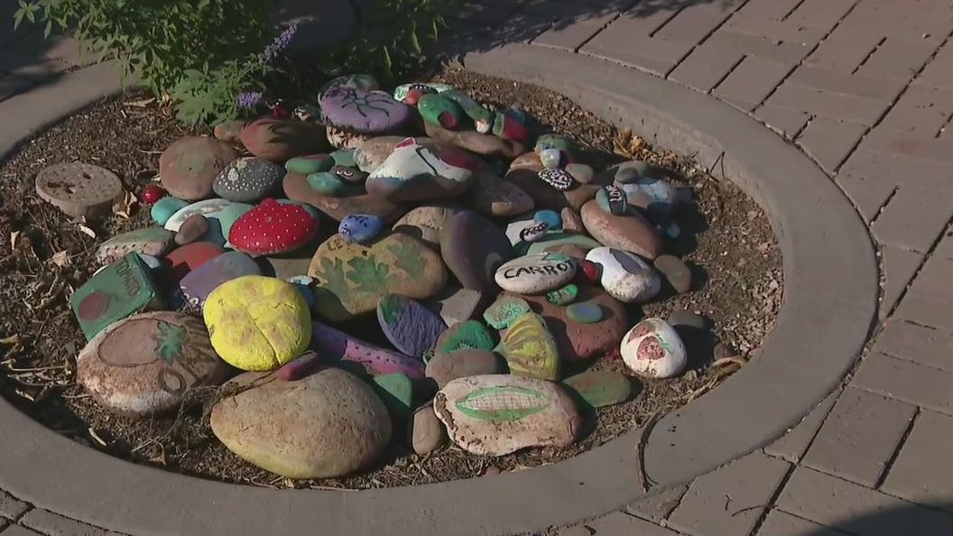 How you can help St. Vincent de Paul win $10K donation for community garden