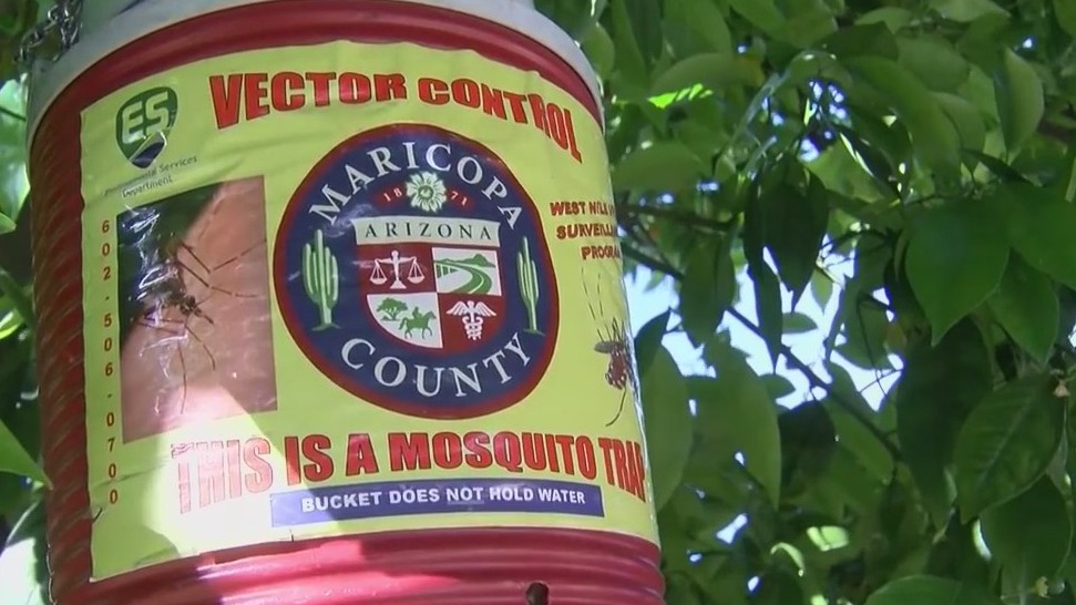 How Maricopa County Environmental Services monitors, treats Valley mosquito problem
